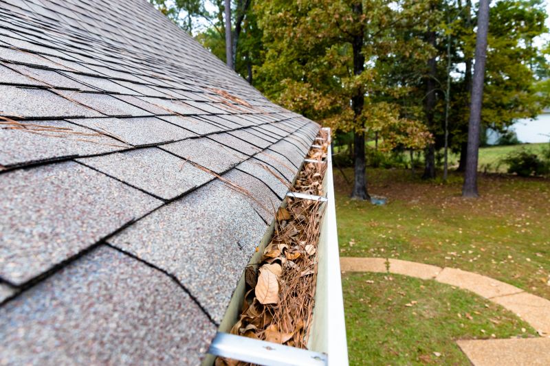 Commercial Gutter Maintenance