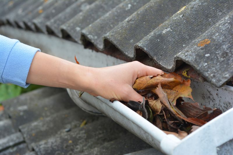 Gutter Inspection