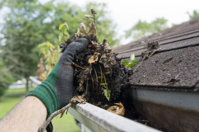 Rain Gutter Clearing