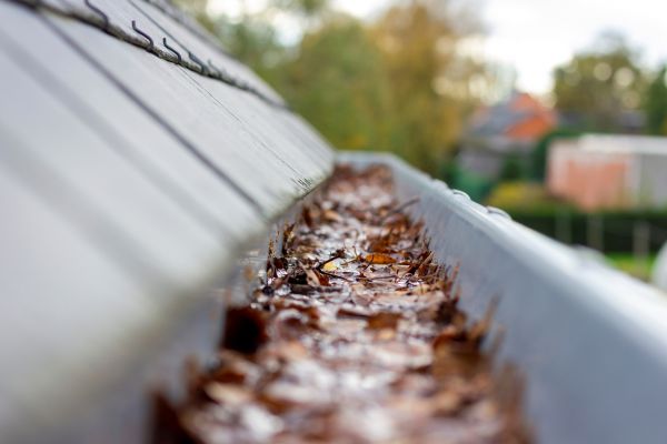 Commercial Gutter Cleaning in Alexandria