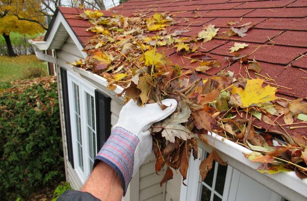 Rain Gutter Cleaning Service in Alexandria