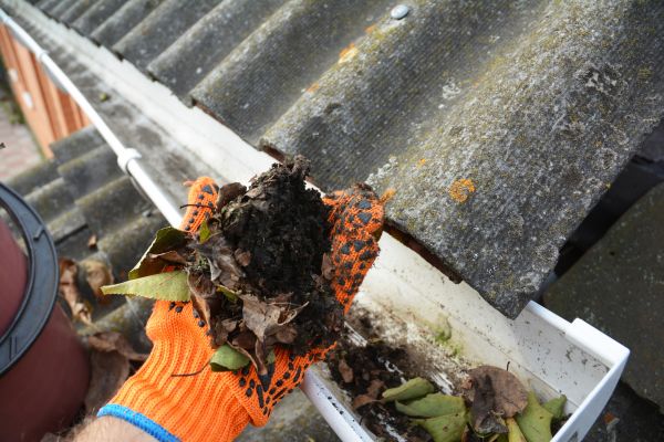 Seamless Gutter Cleaning in Alexandria