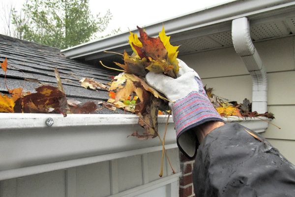 Leaf Gutter Cleaning in Alexandria