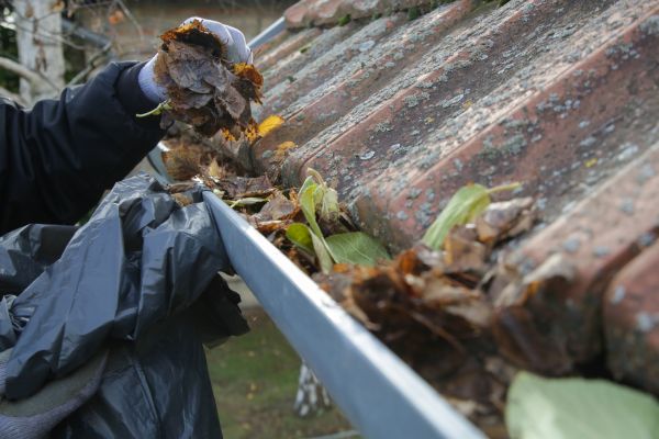 Commercial Gutter Unclogging in Alexandria