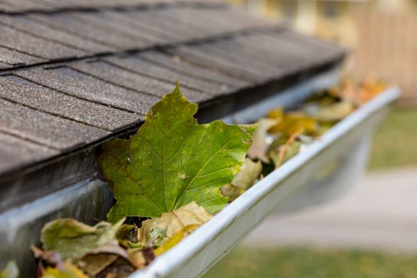 Commercial Downspout Cleaning in Alexandria