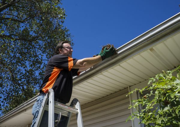 Cost of Eavestrough Clearing in Alexandria