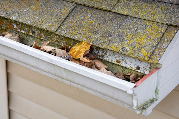 Cost of Garage Gutter Cleaning in Alexandria